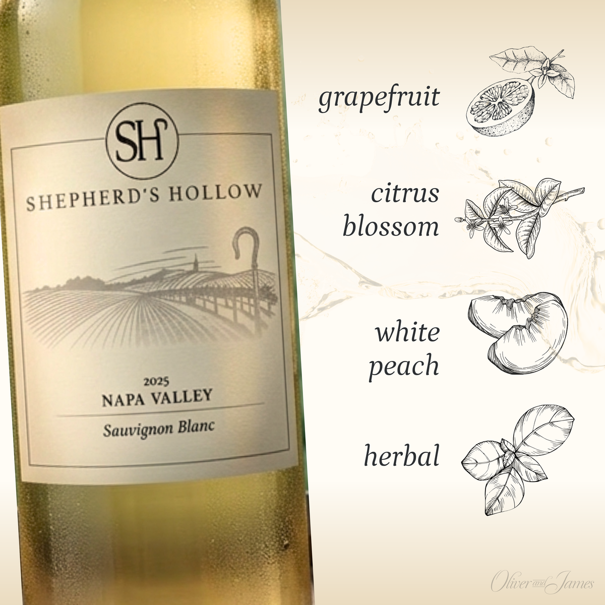 Shepherd's Hollow, Napa Valley Sauvignon Blanc